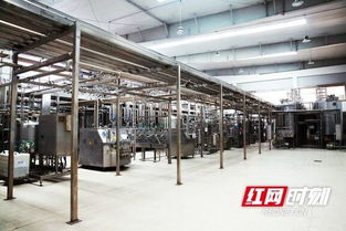 優(yōu)氏乳業(yè) 以“寧鄉(xiāng)智造”技術(shù)服務(wù)，助力國(guó)家學(xué)生飲用奶計(jì)劃，引領(lǐng)健康食品產(chǎn)業(yè)創(chuàng)新