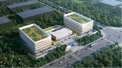 三十年專注，匠心鑄就生物科技新篇章——廣西博生生物抗體與功能蛋白的研發(fā)與應(yīng)用服務(wù)